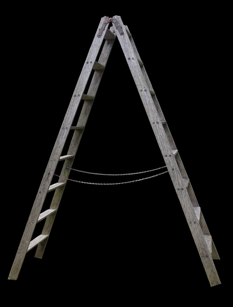 Repurposed Ladder Trellis